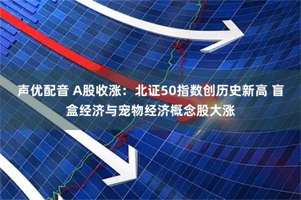 声优配音 A股收涨：北证50指数创历史新高 盲盒经济与宠物经济概念股大涨