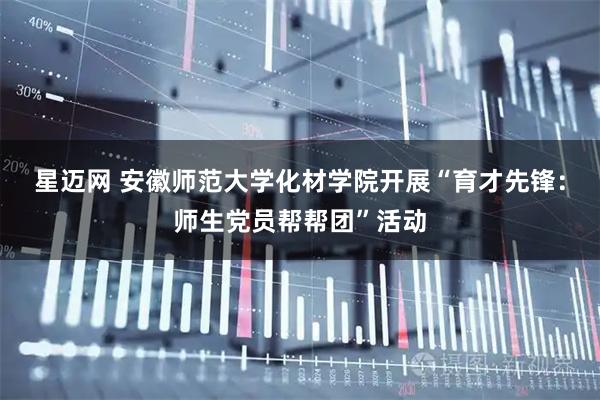 星迈网 安徽师范大学化材学院开展“育才先锋：师生党员帮帮团”活动