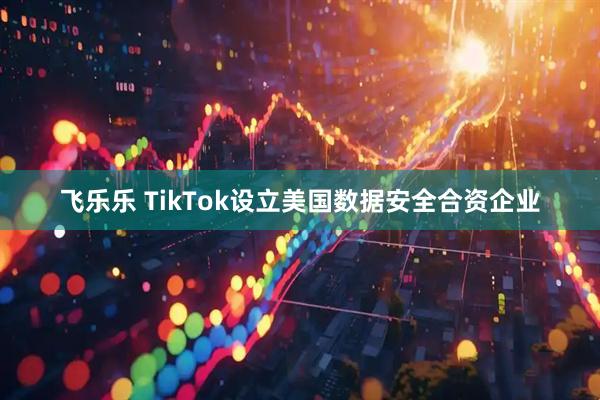飞乐乐 TikTok设立美国数据安全合资企业